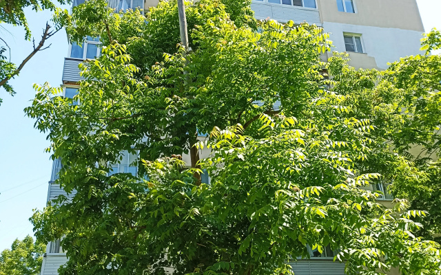 Apartamenty dvuhkomnatnye v centre Vladivostoka