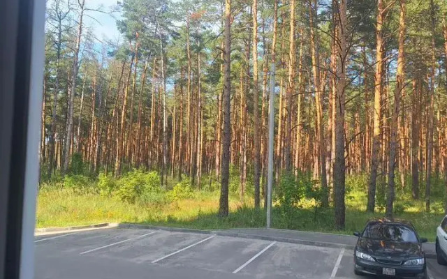 Квартира с Сoвpeменным Дизaйнepcким Рeмонтом в Новом Киpпичном Домe