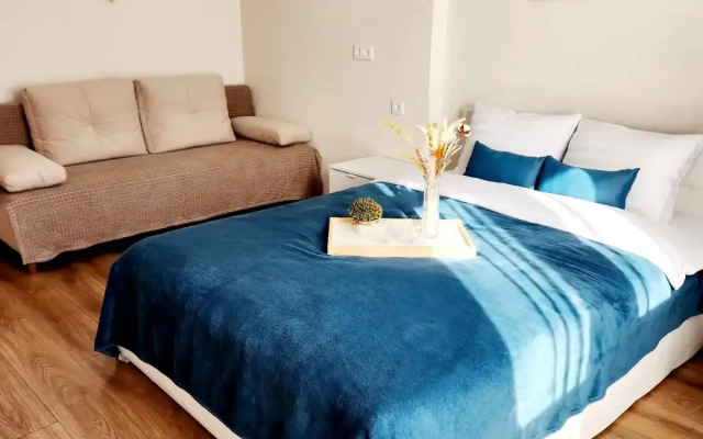 Na Mechnikova Flat