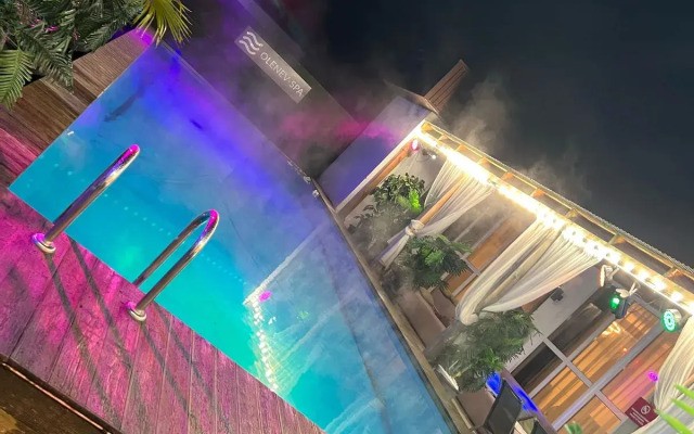 Olenev_spa Guest house