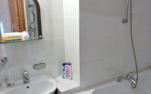 Апартаменты Просторная Квартир с видом на парк