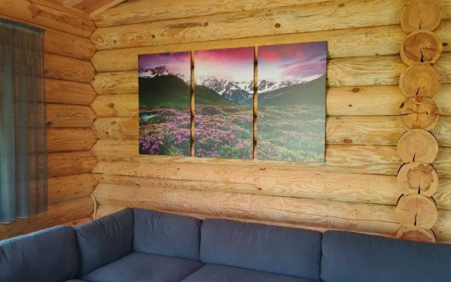 Частный дом в поселке Разливы-1, 8А