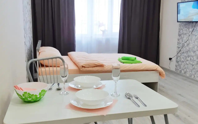 Studiya na Karamzina Flat