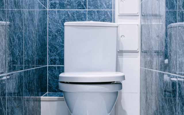 Апартаменты Комфорт с Видом на Парк в Сосновом Лесу от Квартирукинг