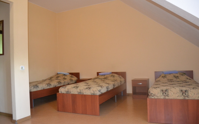 U Petrovicha Mini-Hotel
