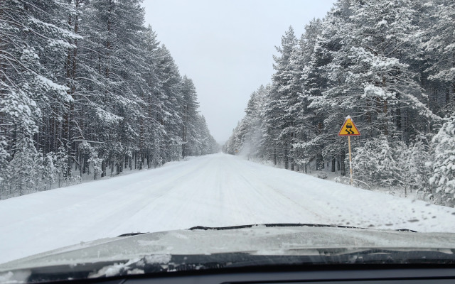 Дом Ялхаус #2