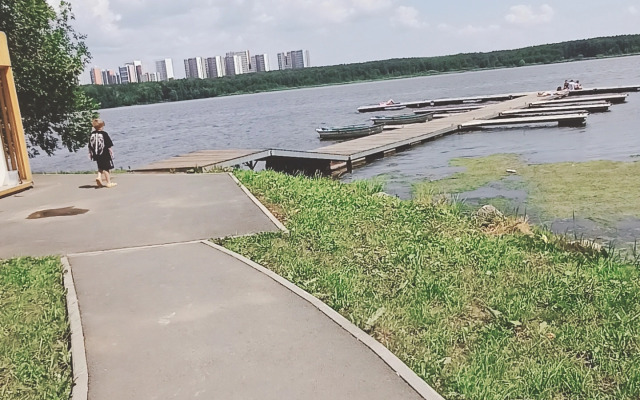 Квартира Гостевые квартиры Алеся с видом на лес и пруд