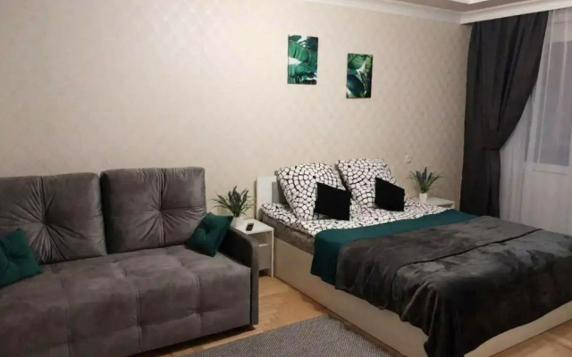 Квартира на Жмакина 58