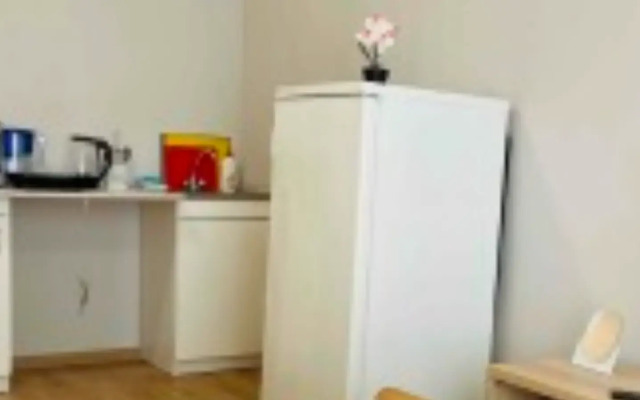 Dom Mishlen Studiya Luchi Peterburga M. Parnas Flat