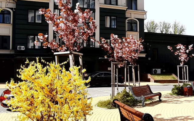 Zelenogradsk Flat