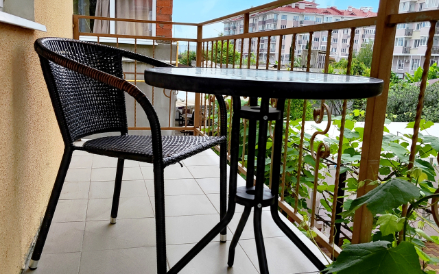Inzhir Guest House