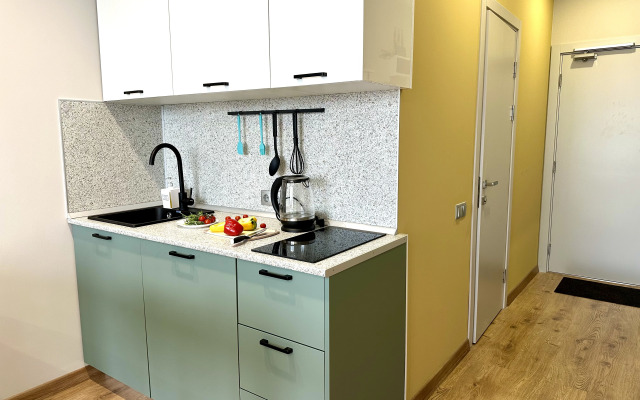 Studiya u Metro Avtovo Apartments