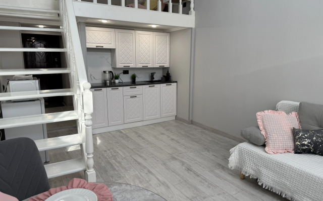 Studiya v istoricheskom tsentre Samary Flat