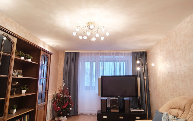 Квартира Однушка Центральная