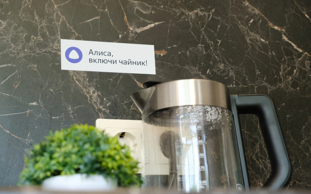 Studiya s vidom na gory Apartments