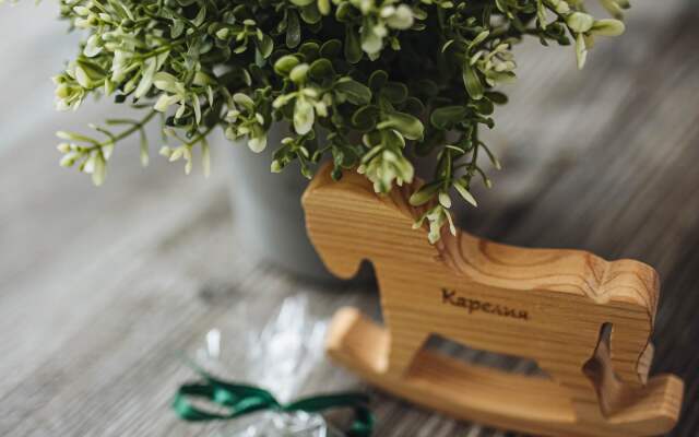 Гостевой дом Green house Kerelia