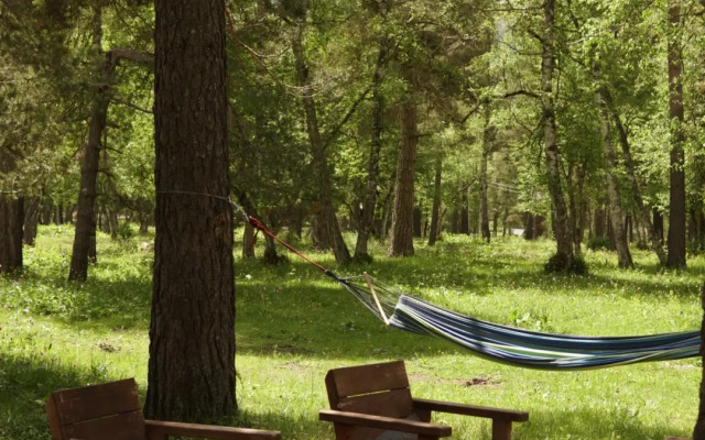 Sherwood Arkhyz Chalet Recreation Camp