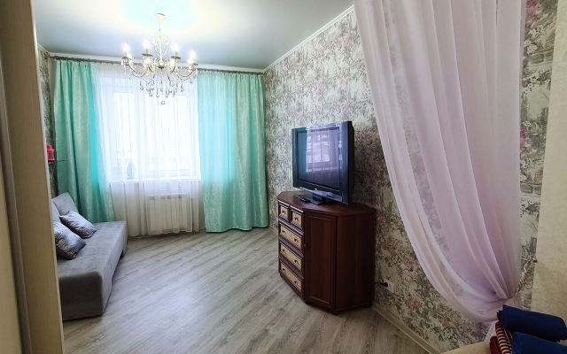 Krasny Put 101 Apartment