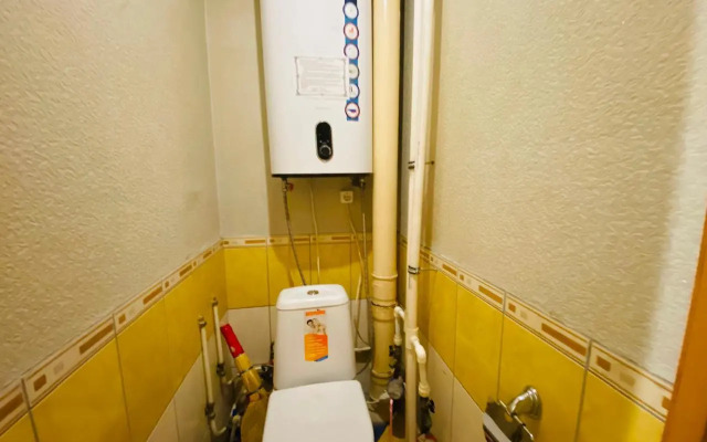 Апартаменты с 1 комнатой Делюкс (Квартира51)