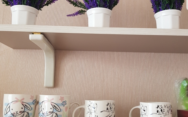 V Kaliningrade Flat