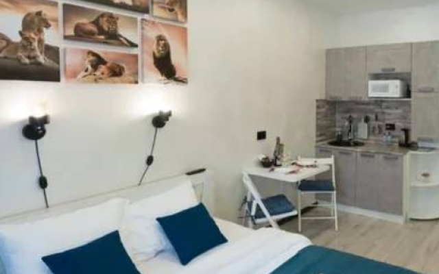 Квартира студия в историческом центре