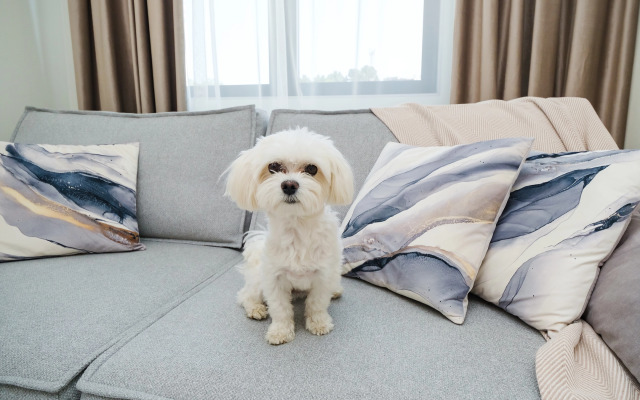 Na Yasnogorskoy 16/2k3 Flat