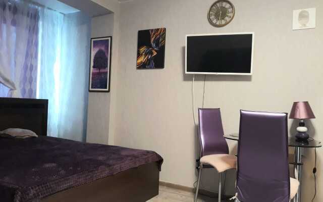Studiya Na Raskolnikova 48/1 Apartments