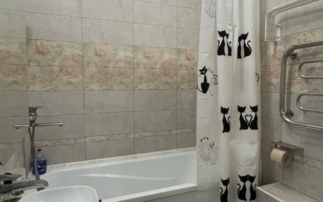 Istoricheskaya Kolomna Flat