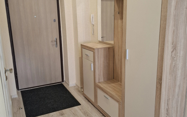 Квартира однокомнатная на Проспекте Советском 81/1