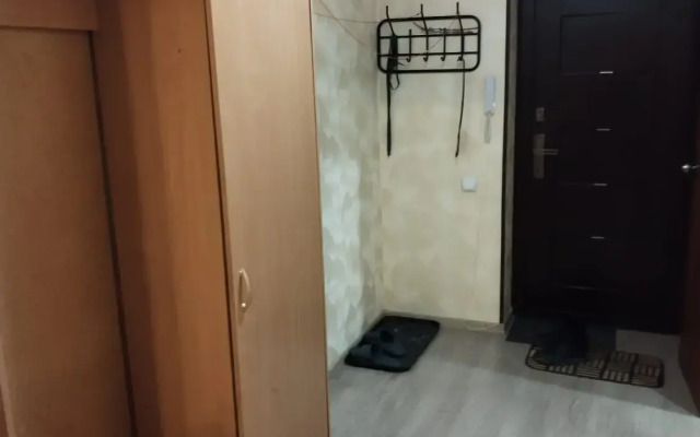 Uyutnaya Studiya Flat