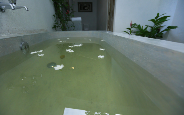 Ceylon Olive Villa