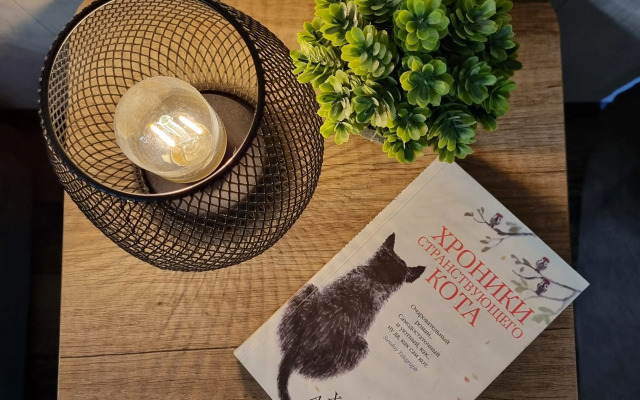 Апартаменты Рыжий Кот Центр