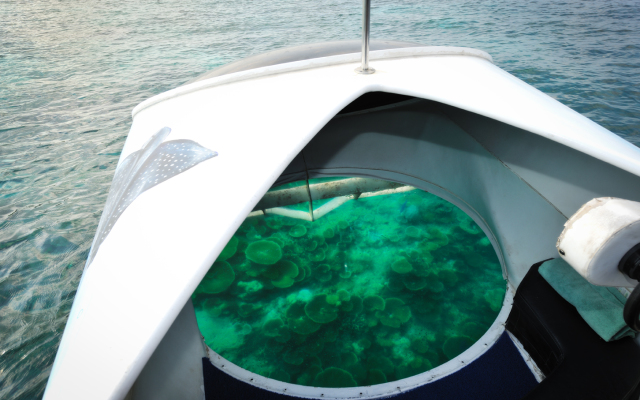Bandos Maldives Hotel