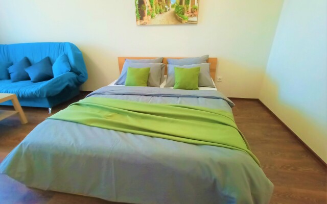 One-room RusDom near the recreation center Rodina Apartments