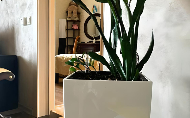 Апартаменты Первомайский