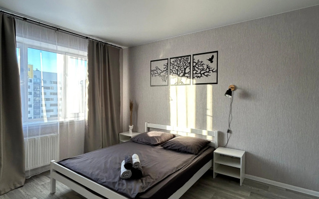 Квартира Уютная студия на Спортивной 41