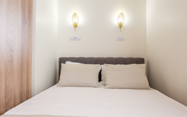 Morent se disainerskim remontom vieu zhk frukty Apartments