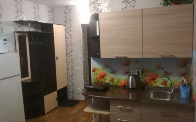 Квартира на Братской 96 (4)