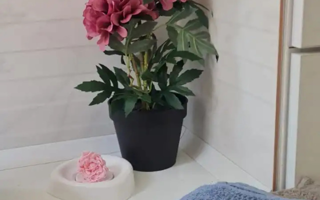 Апартаменты у Верхнего Озера