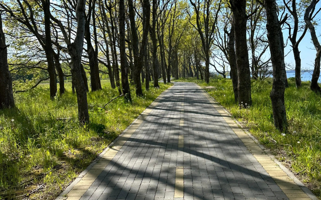 Квартира уютная на берегу моря