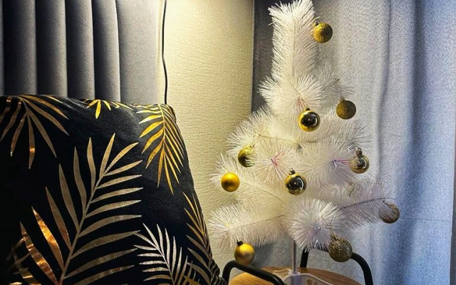 Квартира Черная пантера