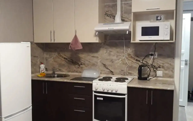 Studiya Na Raskolnikova 48/1 Apartments