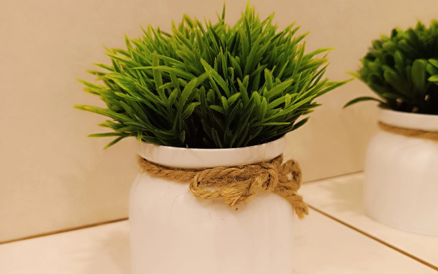 Квартира элегантная на Симановского