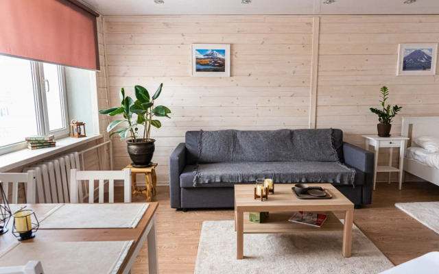 Апартаменты Студия Тушканова 3