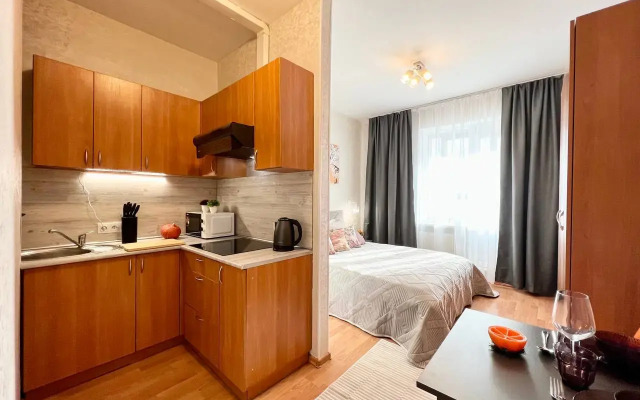 Studiya Gosti Doma U Metro Pionerskaya Flat