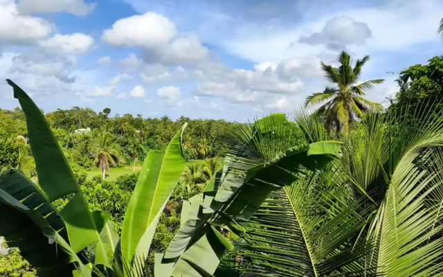 Villa 51 - Ground Floor Villa