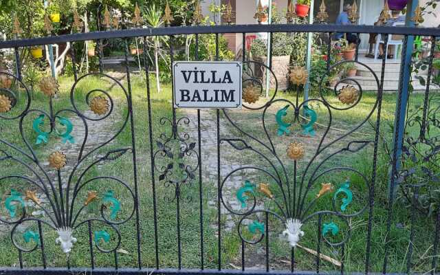 Balim Villa