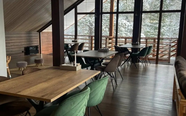 Hotel Shishki