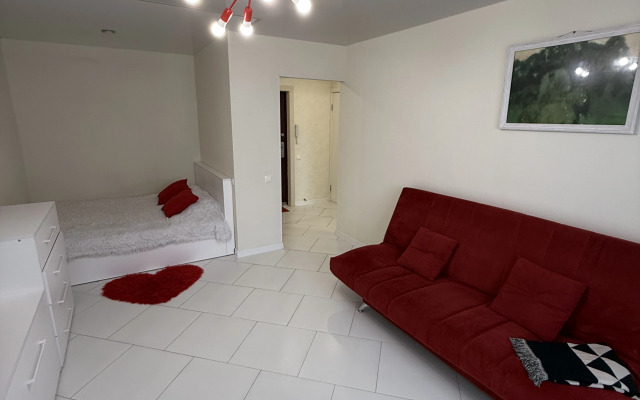 Uyutnaya Odnushka s Dizaynerskim Remontom Flat
