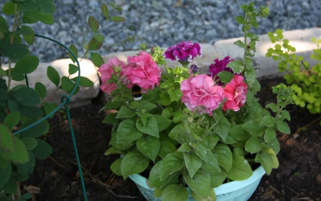 Квартира в Доме Ясень 4